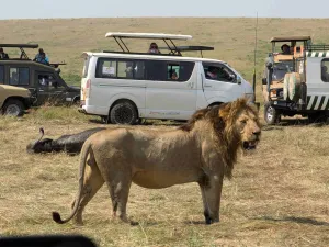 Maasai Mara